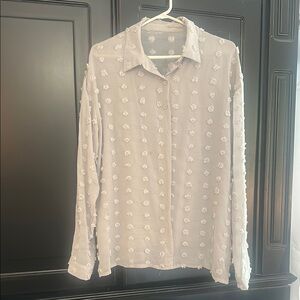 Elegant Sheer light gray Shirt